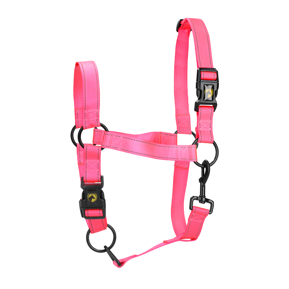 Excellent Premium Halfter Rosa XL