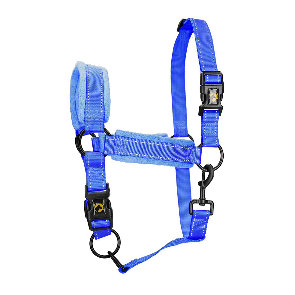 Excellent Superior Halfter Blau S