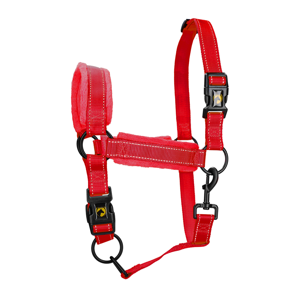 Excellent Superior Halfter Rot S
