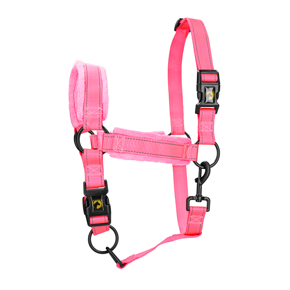 Excellent Superior Halfter Rosa M