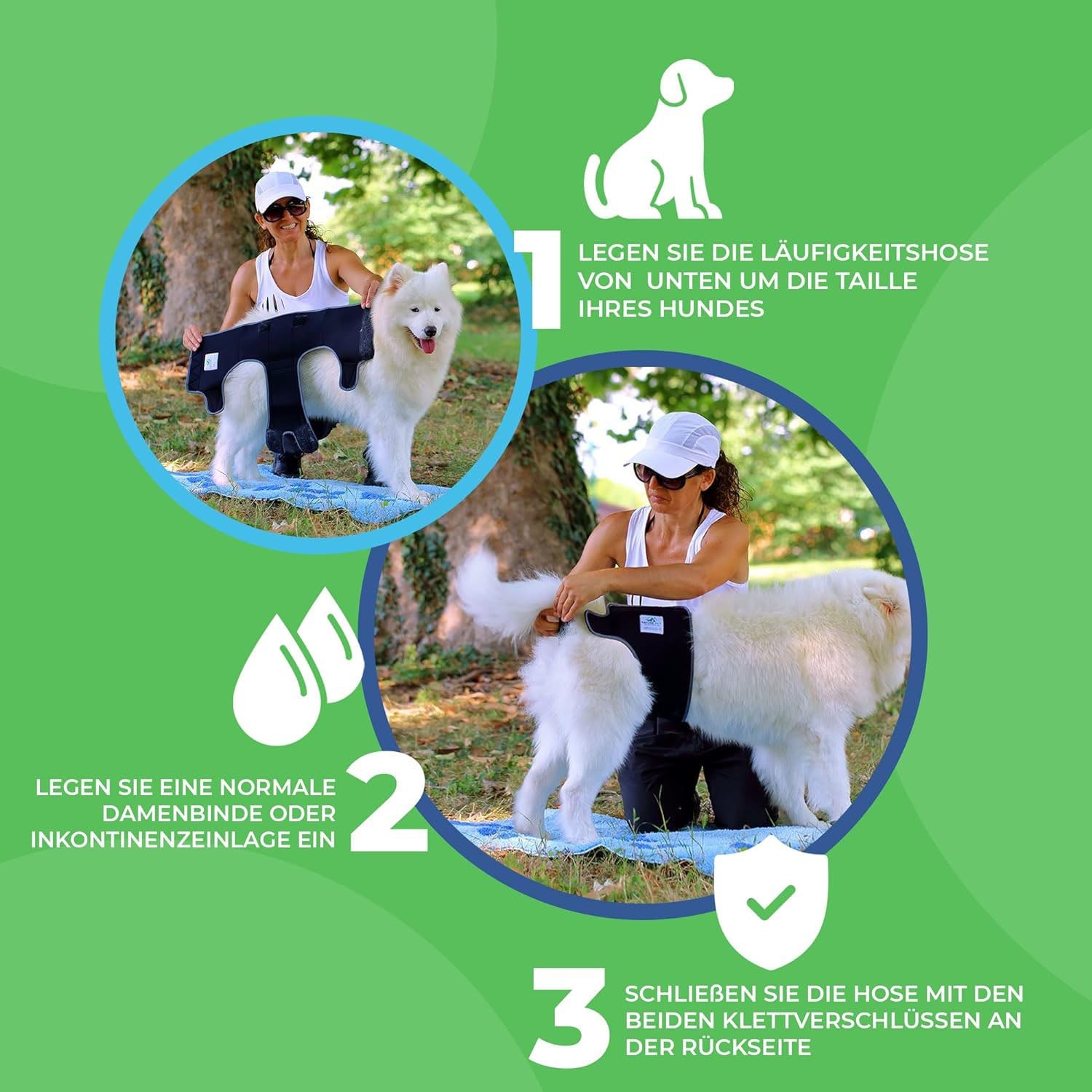 Läufigkeitshose für Hündinnen - TierVita