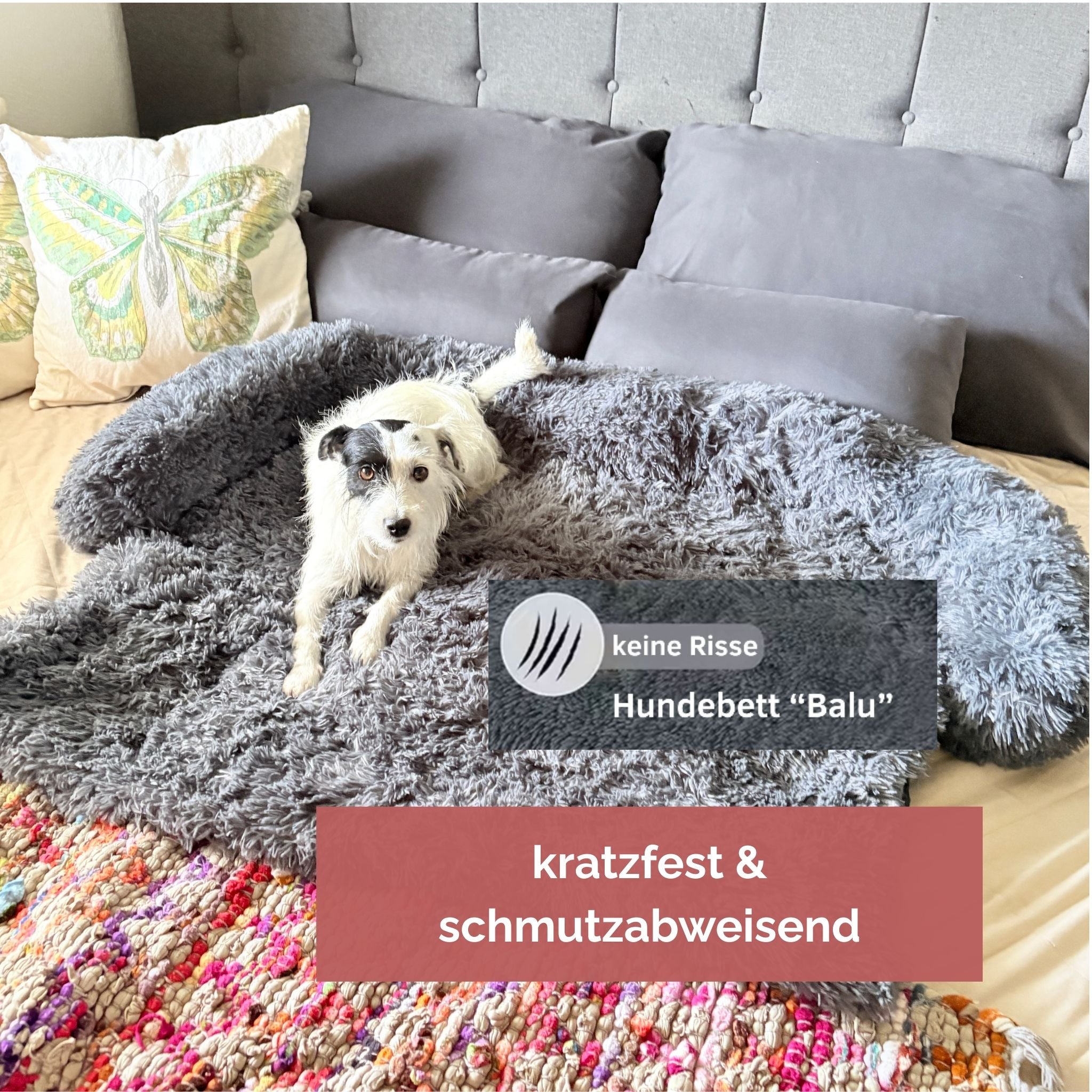 Hundebett "Balu" kuschelig weiche & waschbare Auflage – mit hohem Rand für Auto & Sofa
