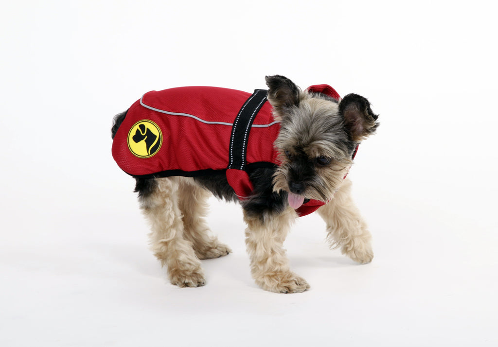 Dog Armor Knockdown Coat (Insect Shield) XXXXS (20cm rückenlänge)