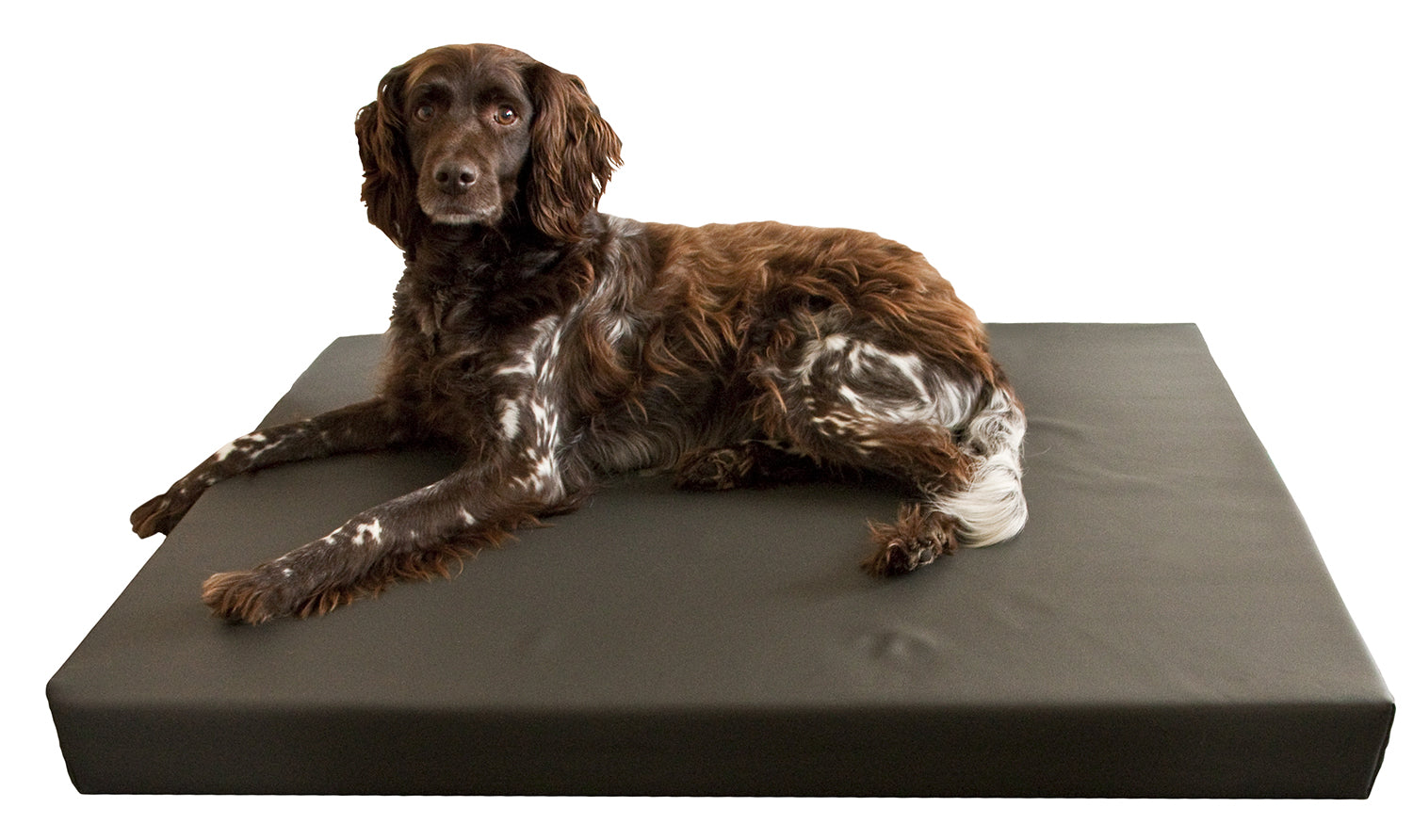 HD Orthopädisches Hundebett XL – Memory Foam bei Arthrose & Hüftdysplasie
