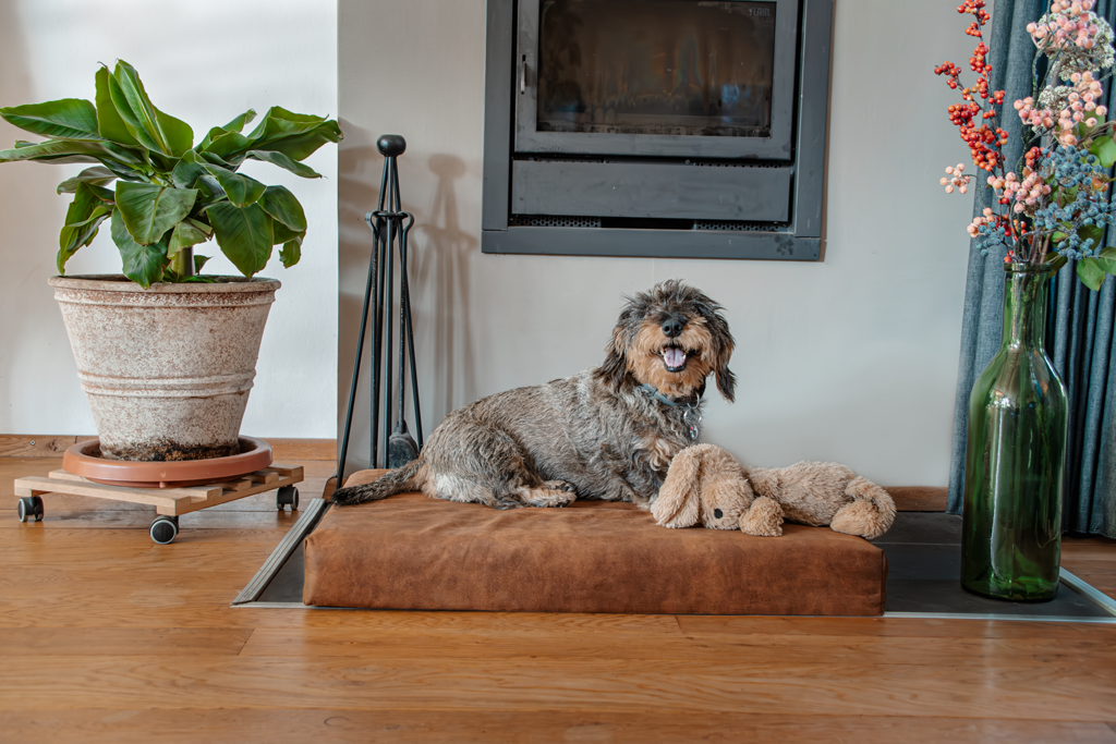 Let's Sleep Mellow Mattress Orthopädisches Bett M Taupe
