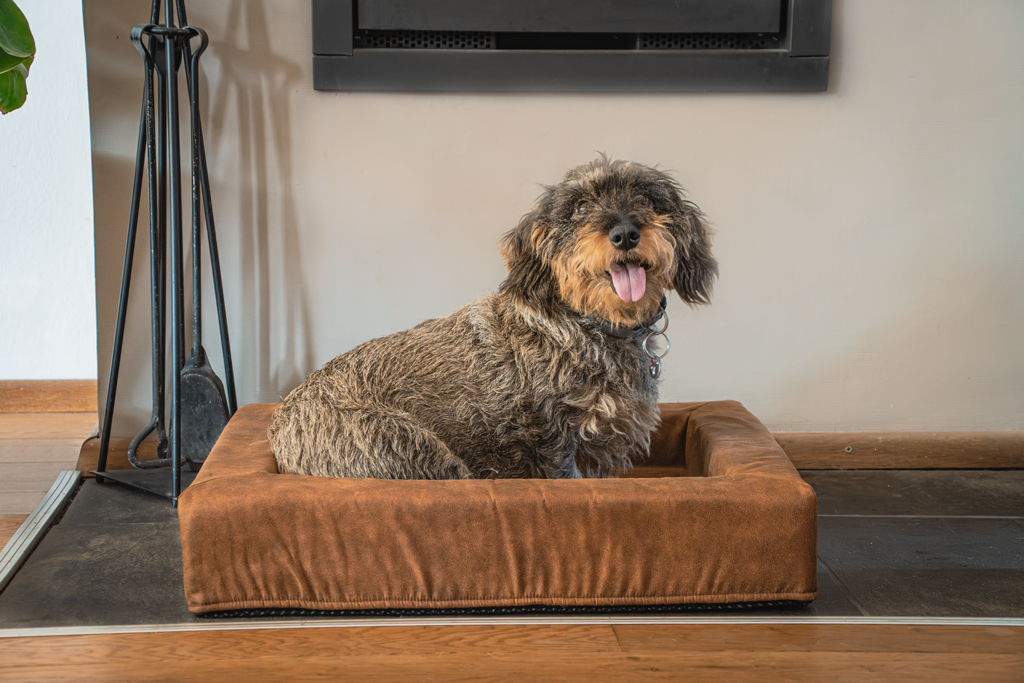 Let's Sleep Comfy Cushion Hundekorb L Anthrazit
