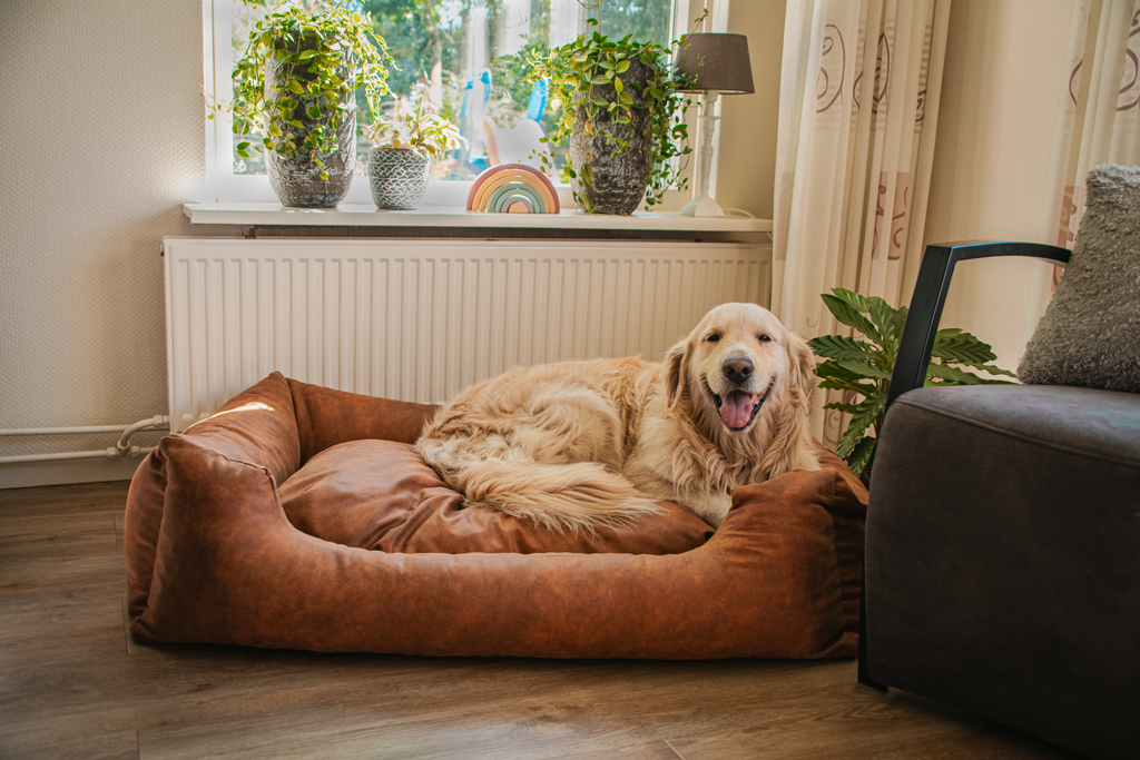 Let's Sleep Sweet Dreams Hundekorb Mit Kissen XL Taupe