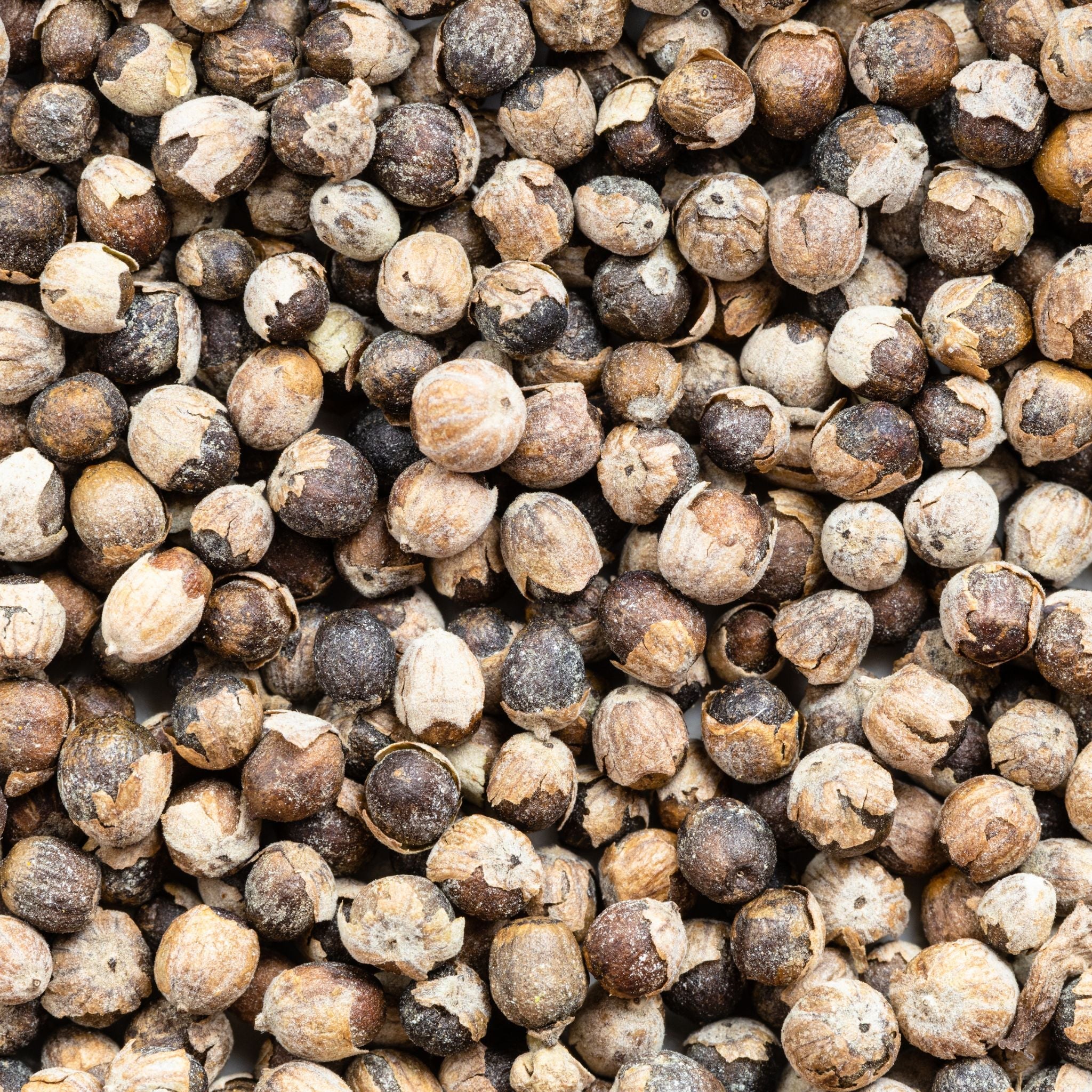 Mönchspfeffer Pferd 1kg - TierVita