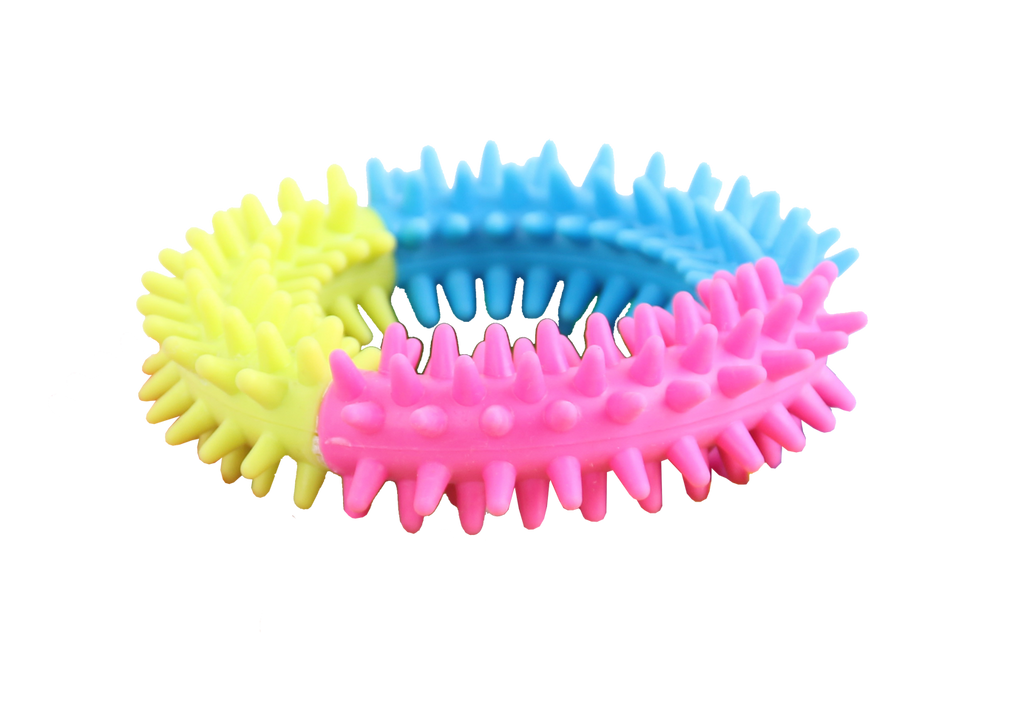 Pawise Rainbow World Ring M