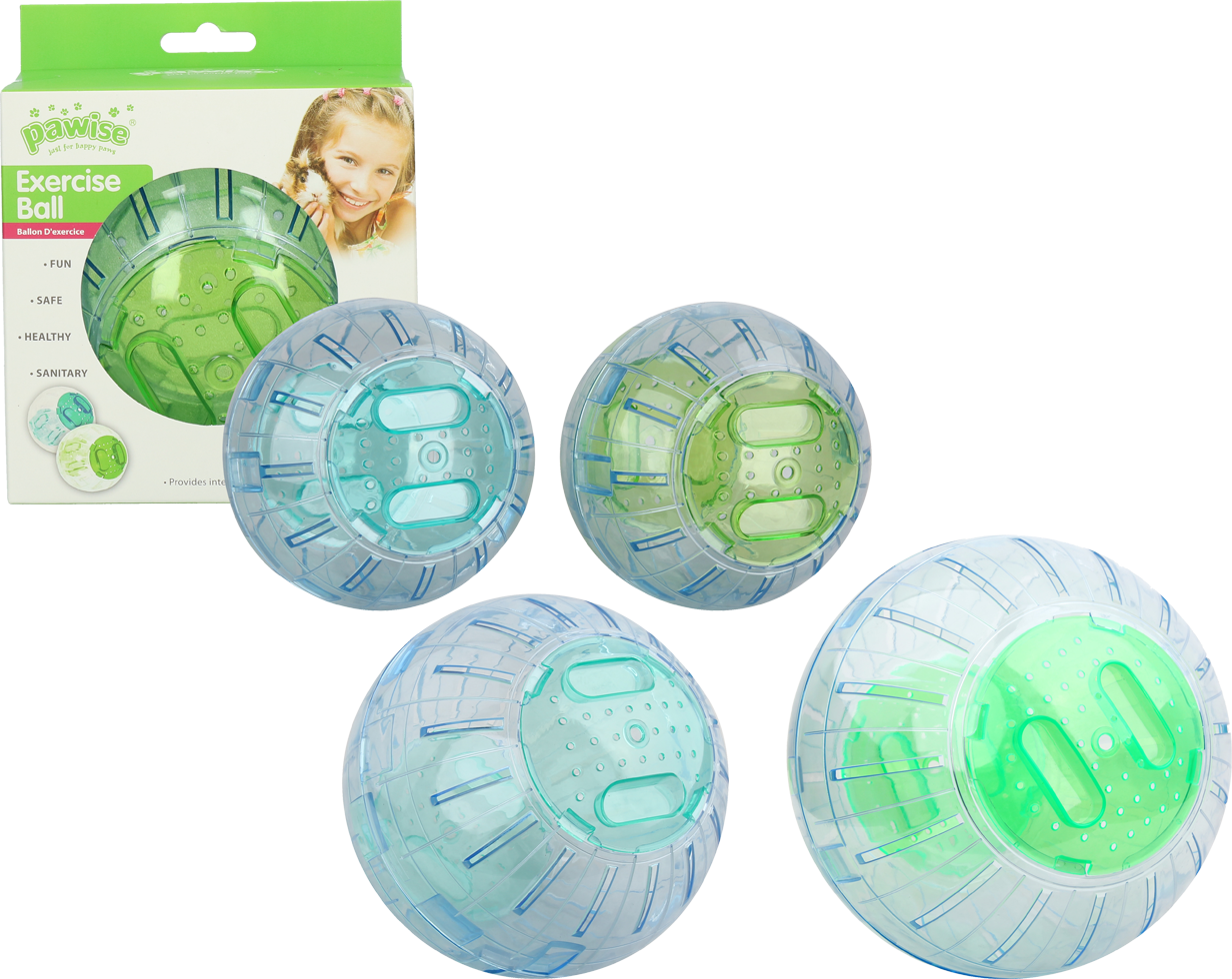 Pawise Exercise Ball L - 25 cm