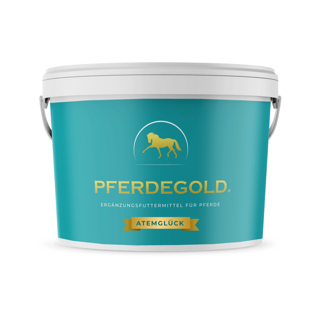 Pferdegold® Atemglück – Ergänzungsfutter für gesunde Atemwege beim Pferd