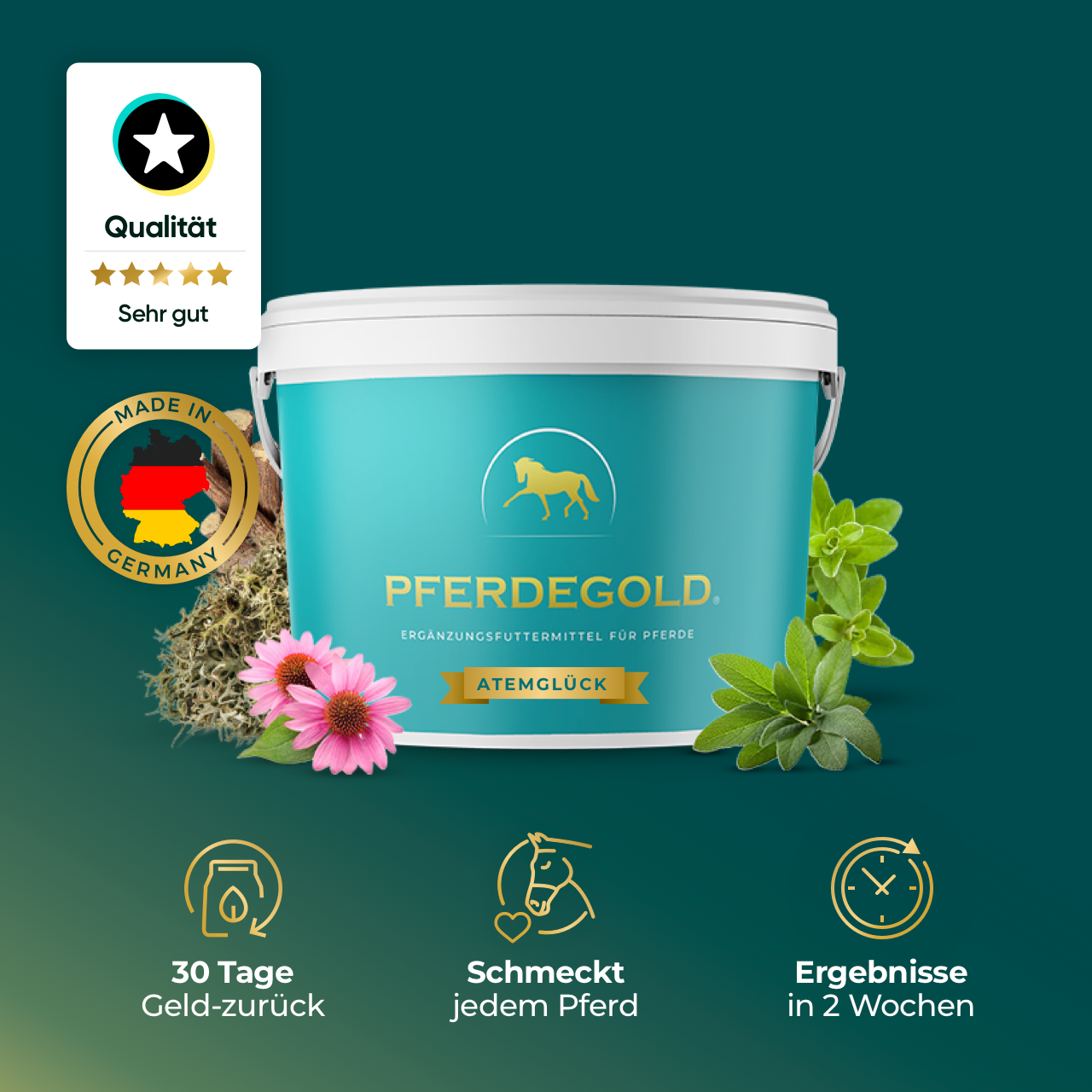 Pferdegold® Atemglück – Ergänzungsfutter für gesunde Atemwege beim Pferd