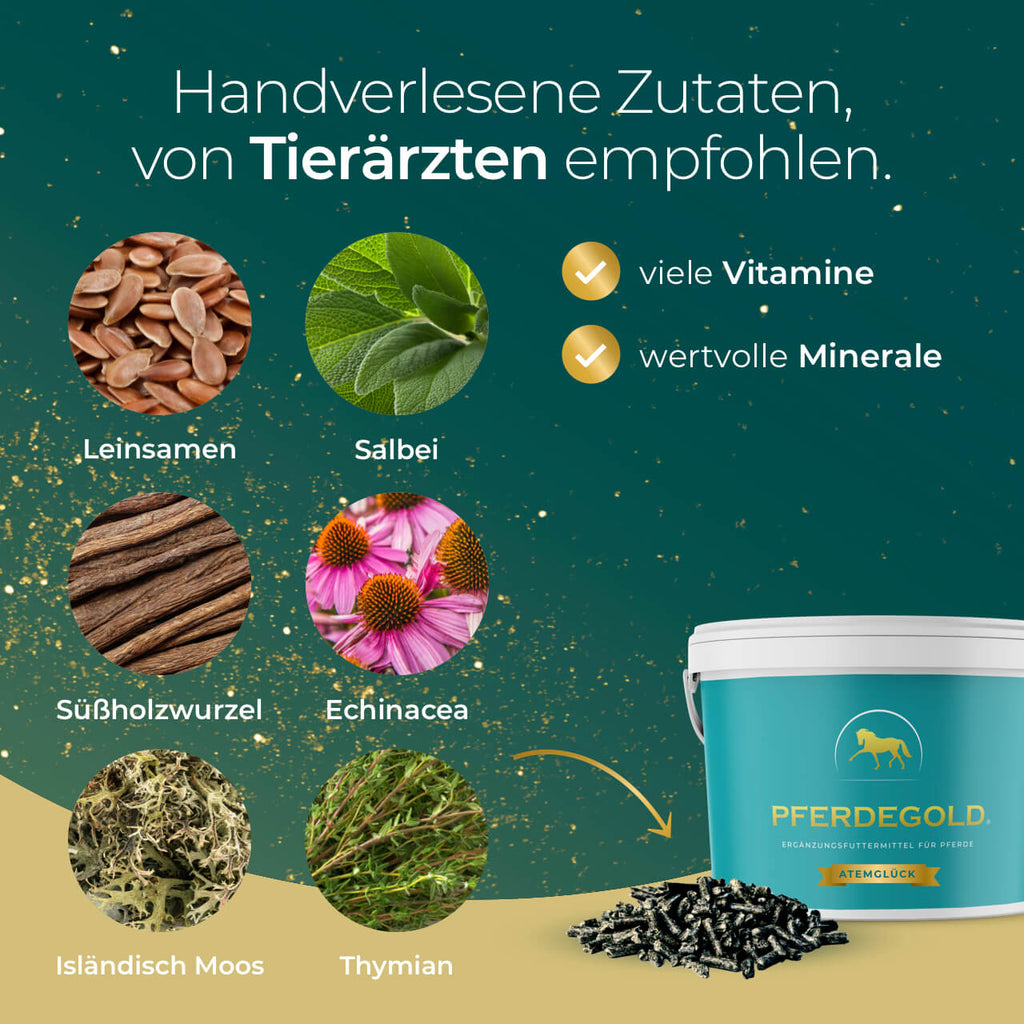 Pferdegold® Atemglück – Ergänzungsfutter für gesunde Atemwege beim Pferd