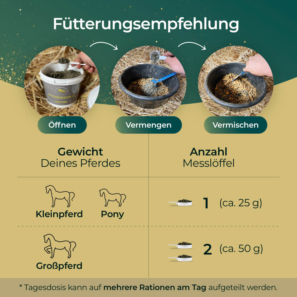 Pferdegold® Atemglück – Ergänzungsfutter für gesunde Atemwege beim Pferd
