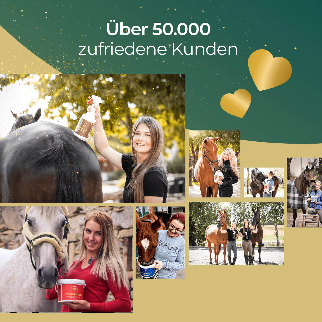 Pferdegold® Atemglück – Ergänzungsfutter für gesunde Atemwege beim Pferd