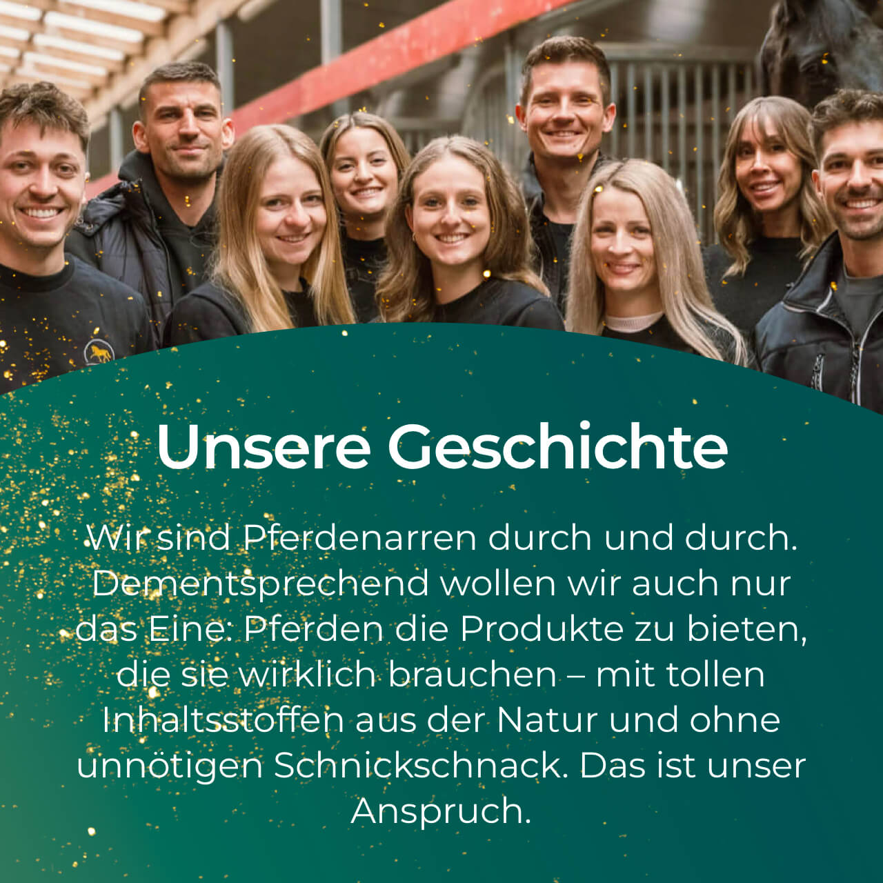 Pferdegold® Darm Akut – Ergänzungsfutter für die Verdauung des Pferdes 750 g