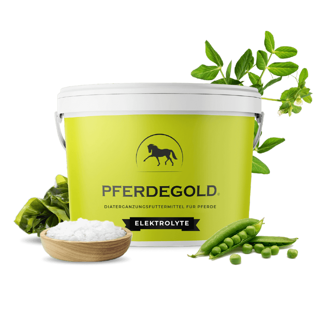 Pferdegold® Elektrolyte – Elektrolytausgleich für Pferde 1,5 kg
