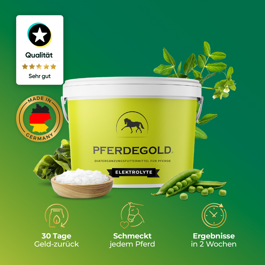 Pferdegold® Elektrolyte – Elektrolytausgleich für Pferde 1,5 kg