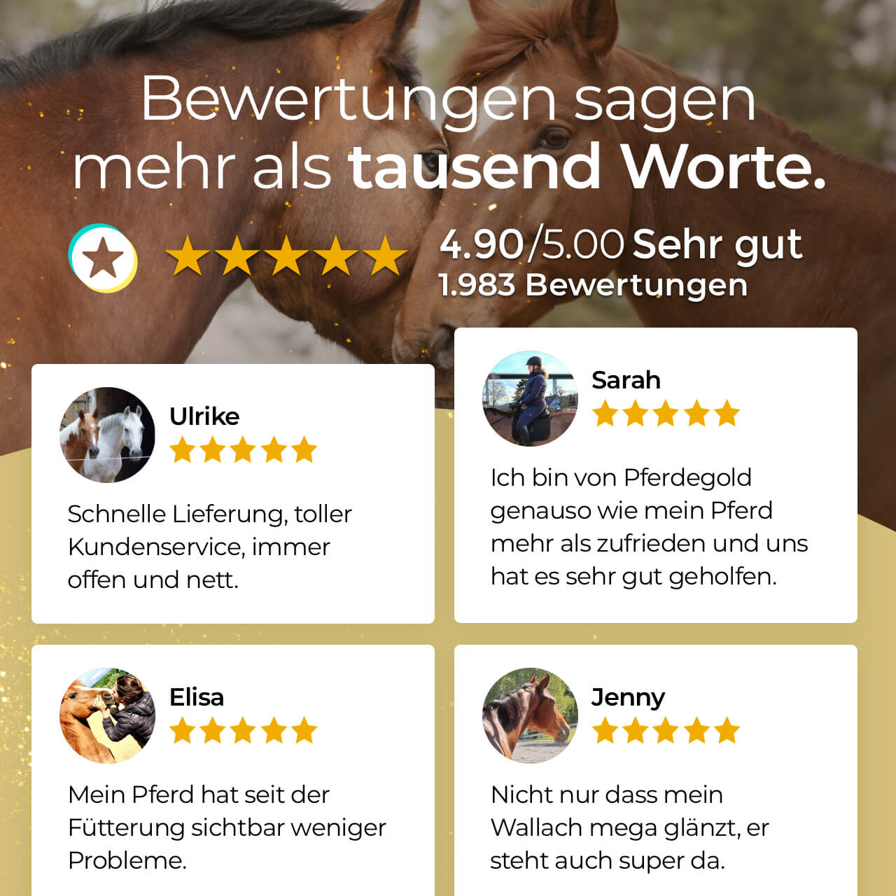 Pferdegold® Elektrolyte – Elektrolytausgleich für Pferde 1,5 kg