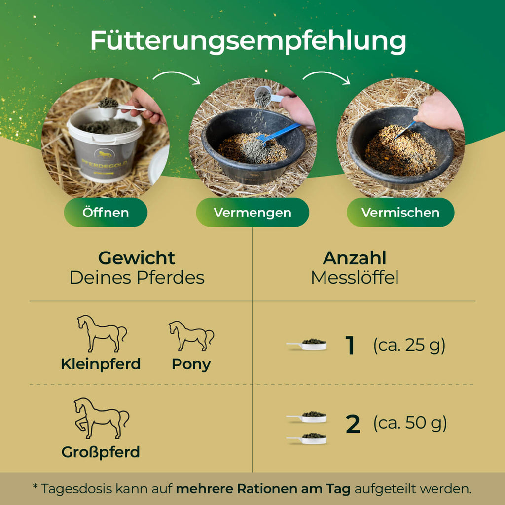 Pferdegold® Elektrolyte – Elektrolytausgleich für Pferde 1,5 kg