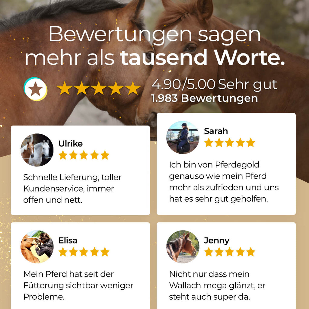 Pferdegold® Glanzbürste – Fellpflegebürste für glänzendes Pferdehaar
