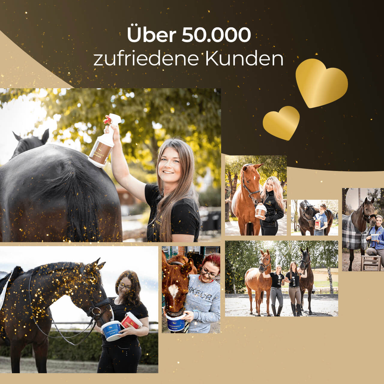 Pferdegold® Glanzbürste – Fellpflegebürste für glänzendes Pferdehaar