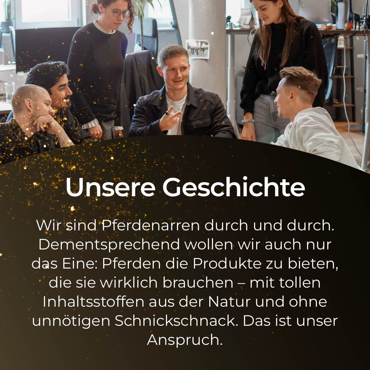 Pferdegold® Glanzbürste – Fellpflegebürste für glänzendes Pferdehaar