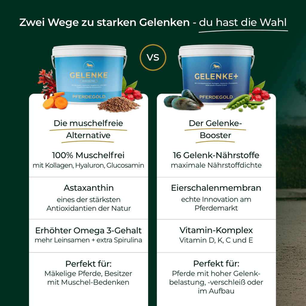 Pferdegold® Gelenke Muschelfrei 2.0 – Gelenknahrung für Pferde ohne Grünlippmuschel