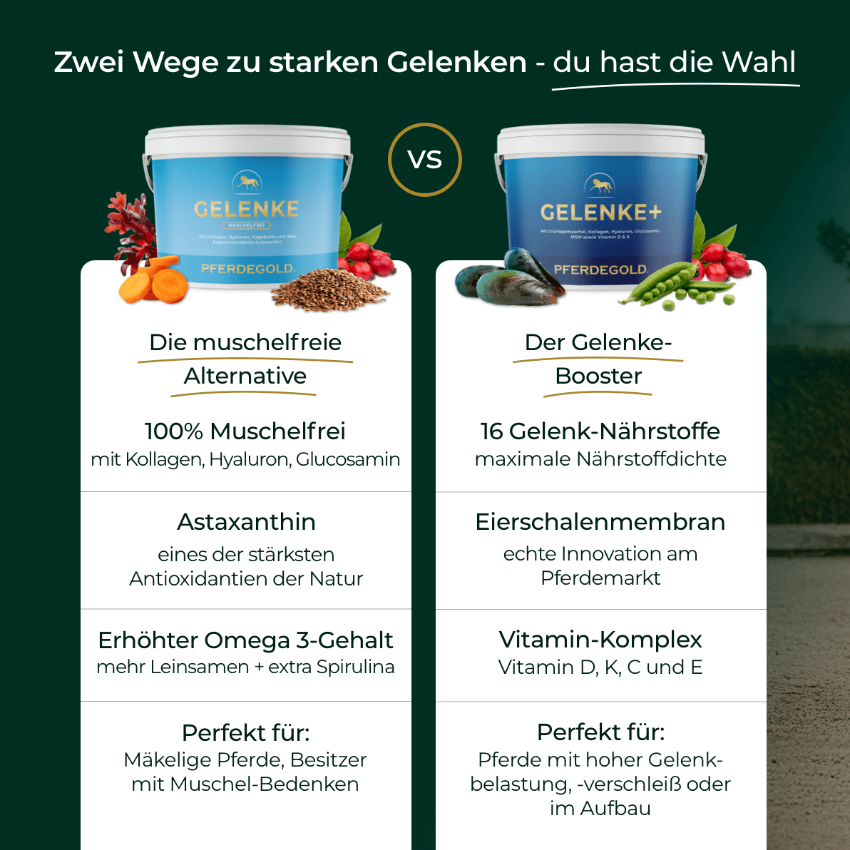 Pferdegold® Gelenke Muschelfrei 2.0 – Gelenknahrung für Pferde ohne Grünlippmuschel