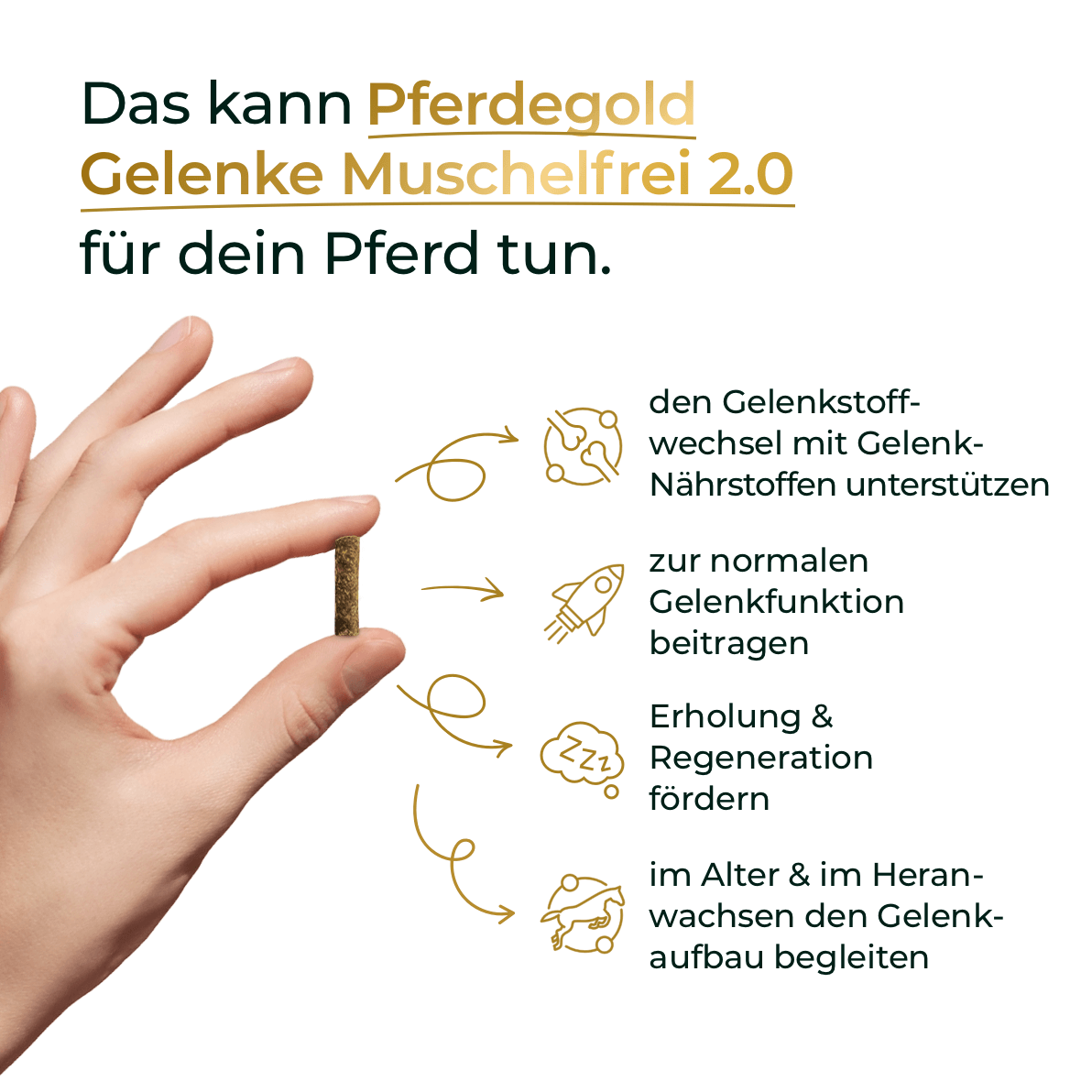 Pferdegold® Gelenke Muschelfrei 2.0 – Gelenknahrung für Pferde ohne Grünlippmuschel
