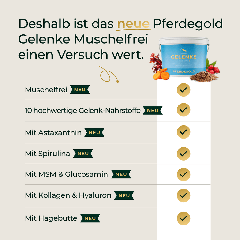 Pferdegold® Gelenke Muschelfrei 2.0 – Gelenknahrung für Pferde ohne Grünlippmuschel