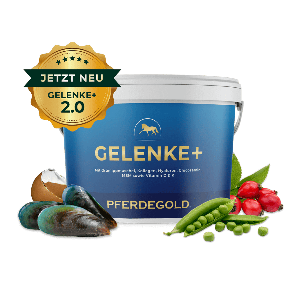Pferdegold® Gelenke+ 2.0 – Gelenknahrung für Pferde mit Omega 3