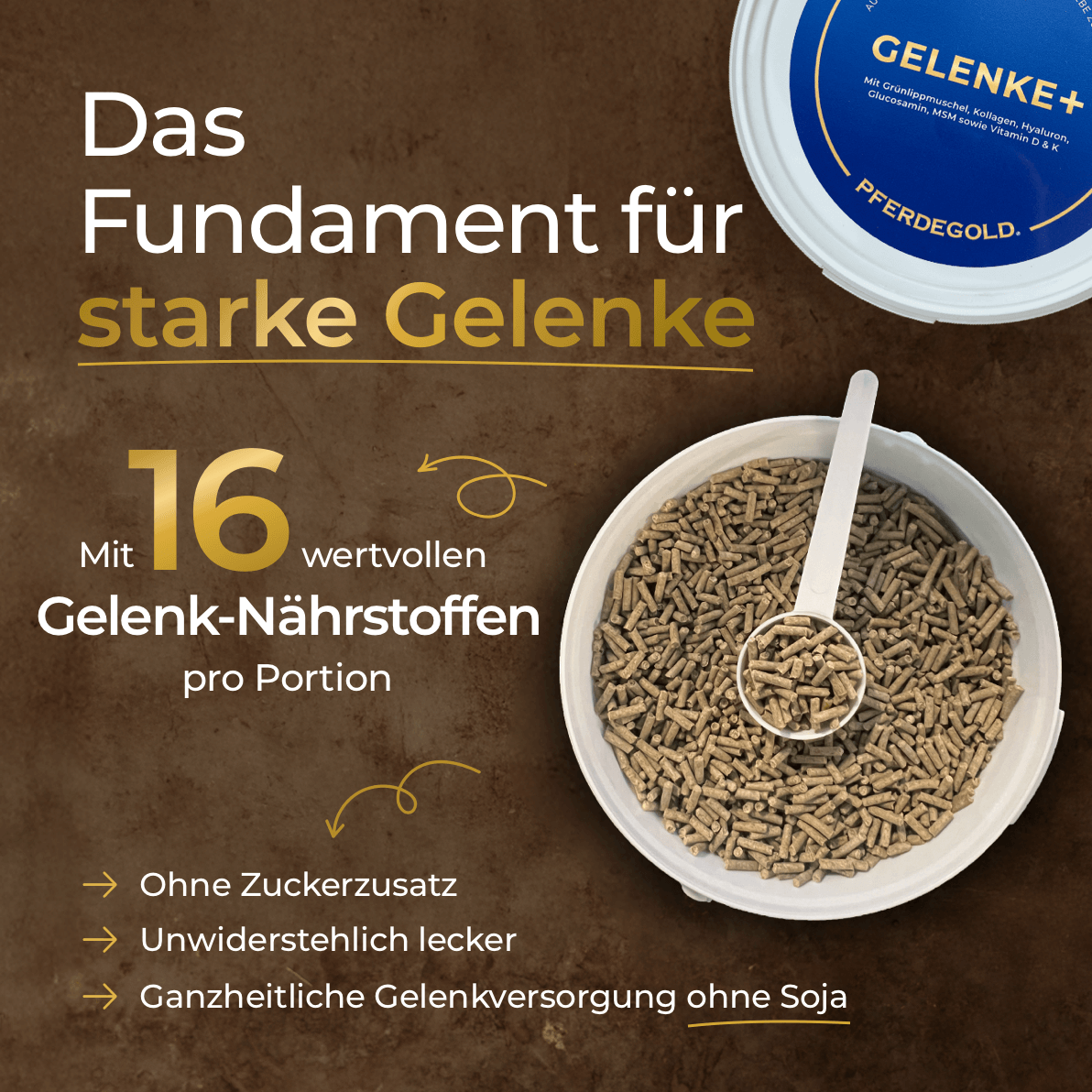 Pferdegold® Gelenke+ 2.0 – Gelenknahrung für Pferde mit Omega 3
