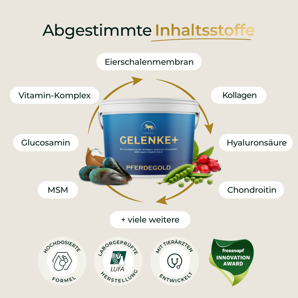Pferdegold® Gelenke+ 2.0 – Gelenknahrung für Pferde mit Omega 3