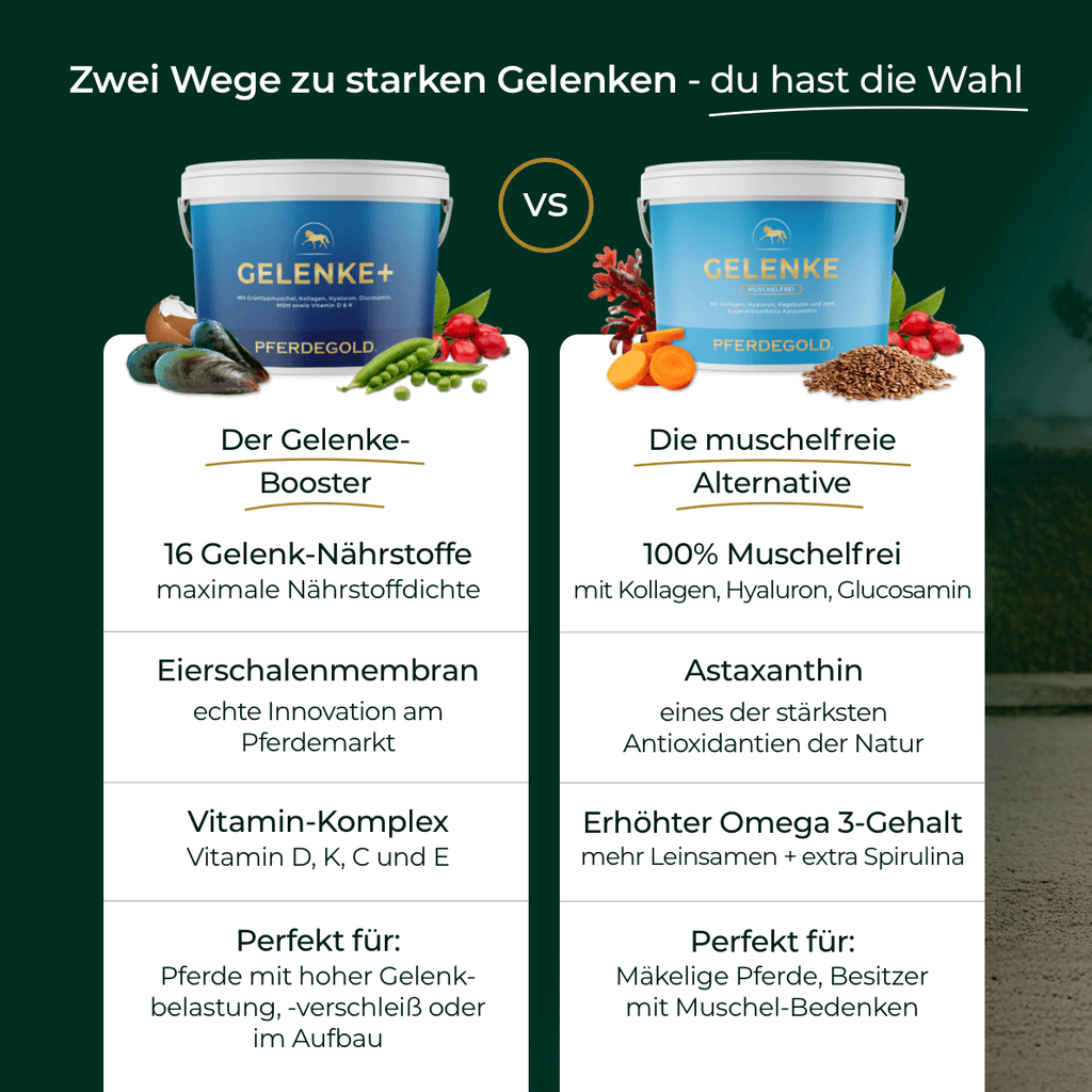 Pferdegold® Gelenke+ 2.0 – Gelenknahrung für Pferde mit Omega 3