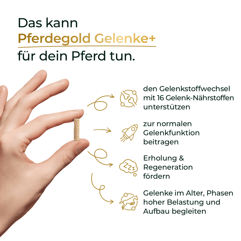 Pferdegold® Gelenke+ 2.0 – Gelenknahrung für Pferde mit Omega 3