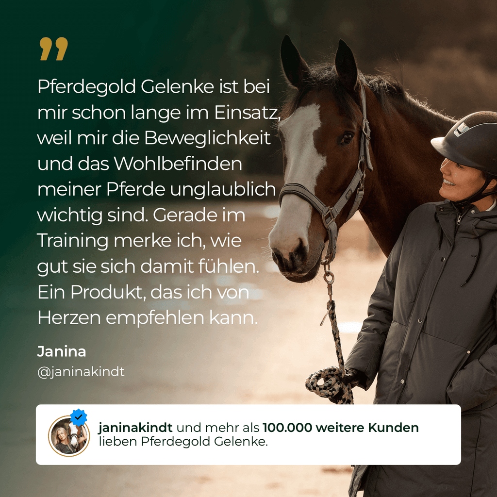 Pferdegold® Gelenke+ 2.0 – Gelenknahrung für Pferde mit Omega 3