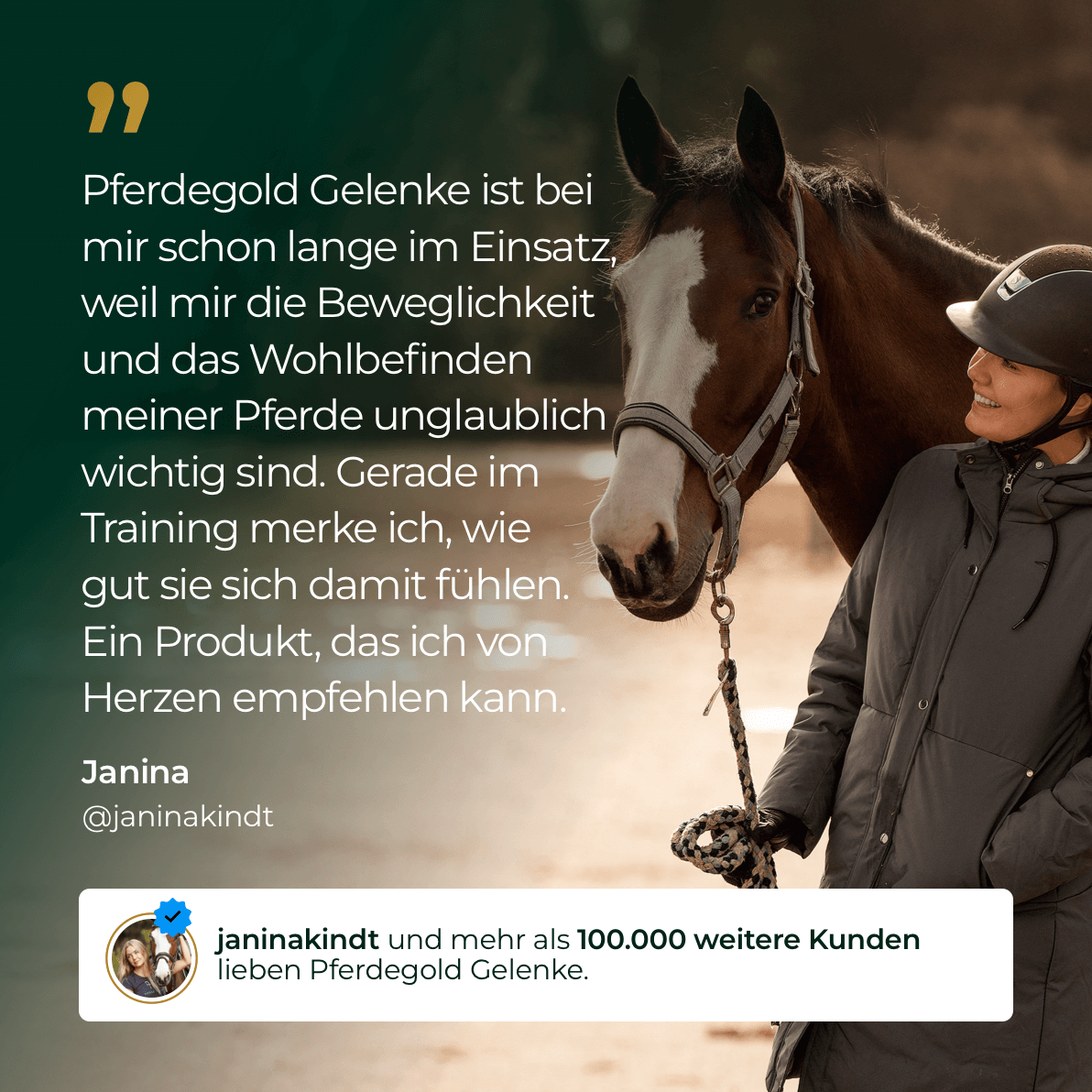 Pferdegold® Gelenke+ 2.0 – Gelenknahrung für Pferde mit Omega 3