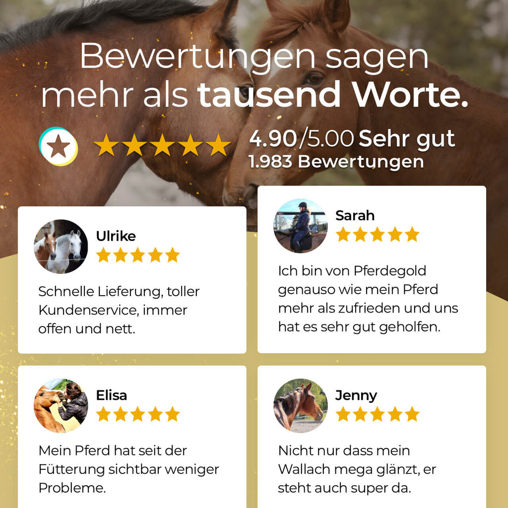 Pferdegold® Haut & Fell – Ergänzungsfutter für Fell & Haut des Pferdes mit Biotin & Zink