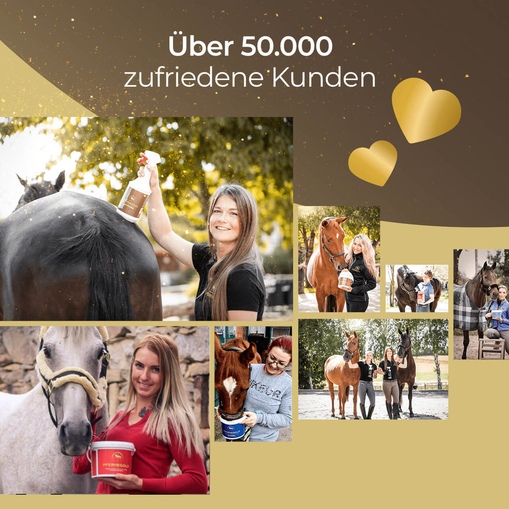 Pferdegold® Haut & Fell – Ergänzungsfutter für Fell & Haut des Pferdes mit Biotin & Zink