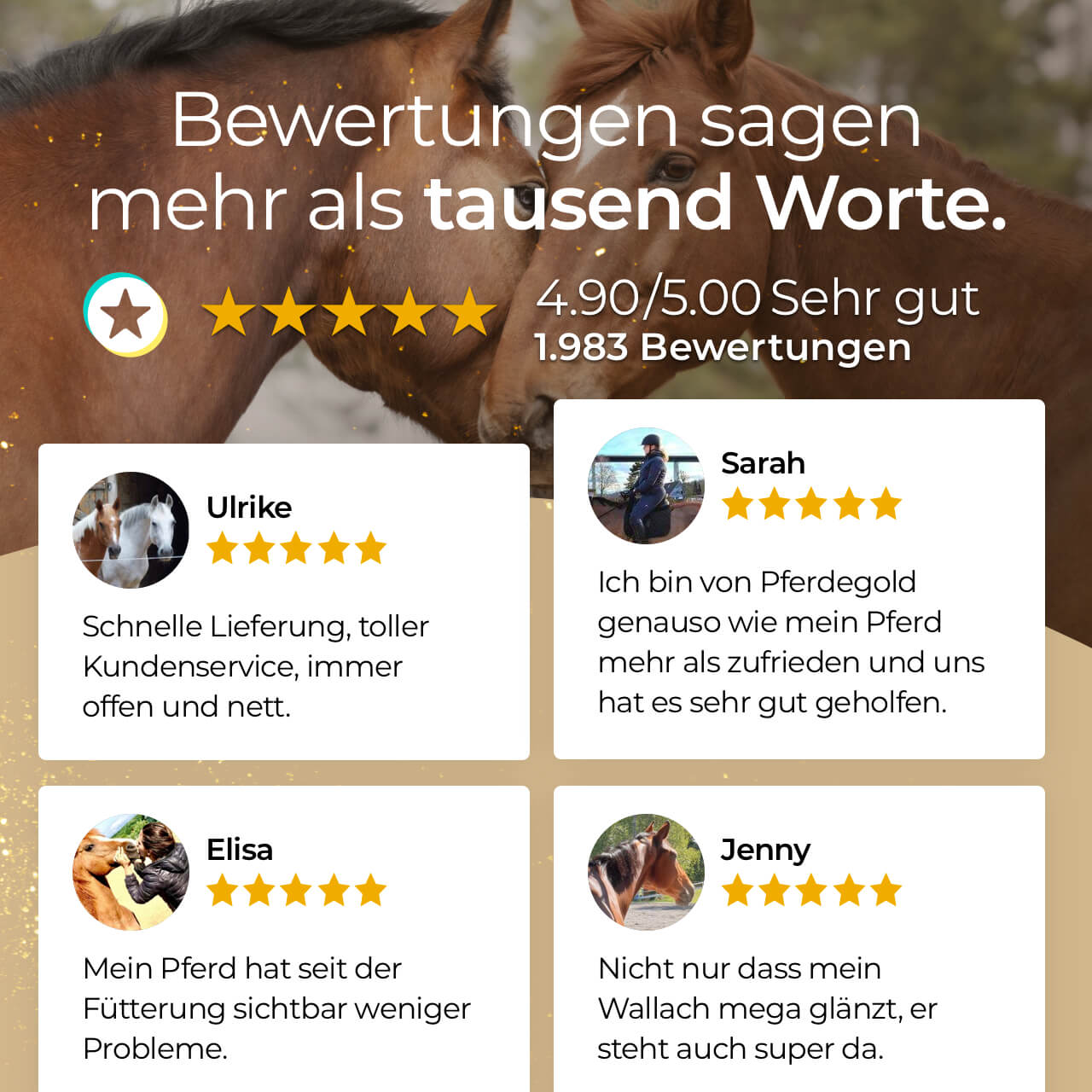 Pferdegold® Kardätsche – Pferdebürste mit Synthetik-Borsten & Handschlaufe