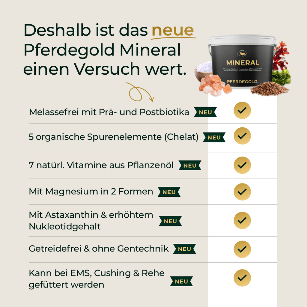Pferdegold® Mineral 2.0 – Mineralfutter für Pferde mit Spurenelementen & Omega 3