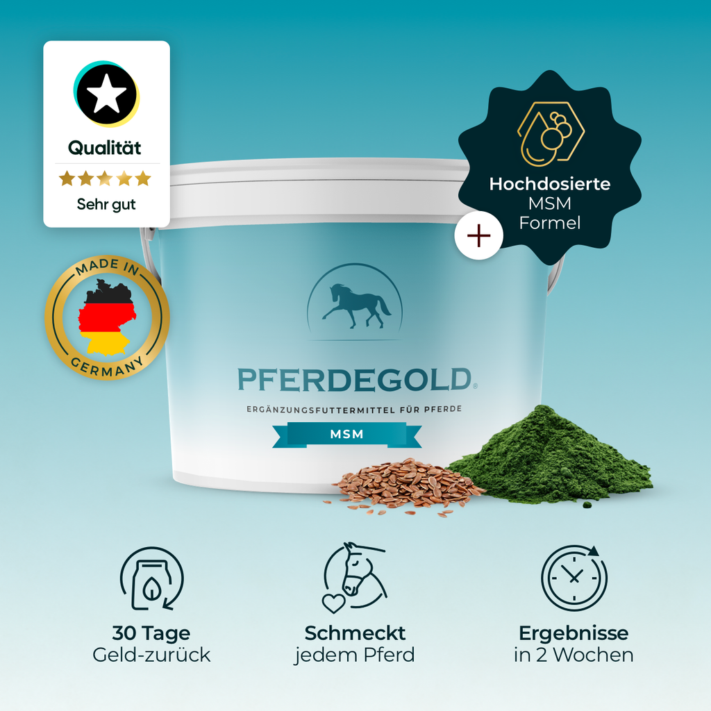 Pferdegold® MSM – Organischer Schwefel für Gelenke & Bindegewebe beim Pferd 1,5 kg