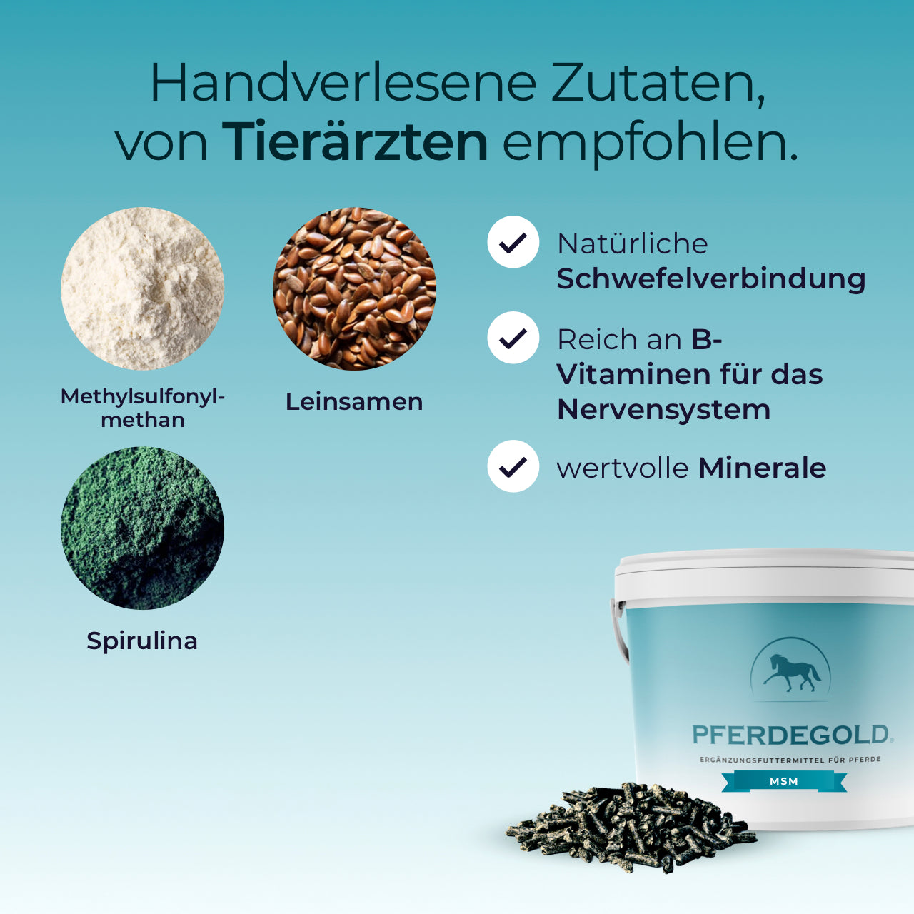 Pferdegold® MSM – Organischer Schwefel für Gelenke & Bindegewebe beim Pferd 1,5 kg