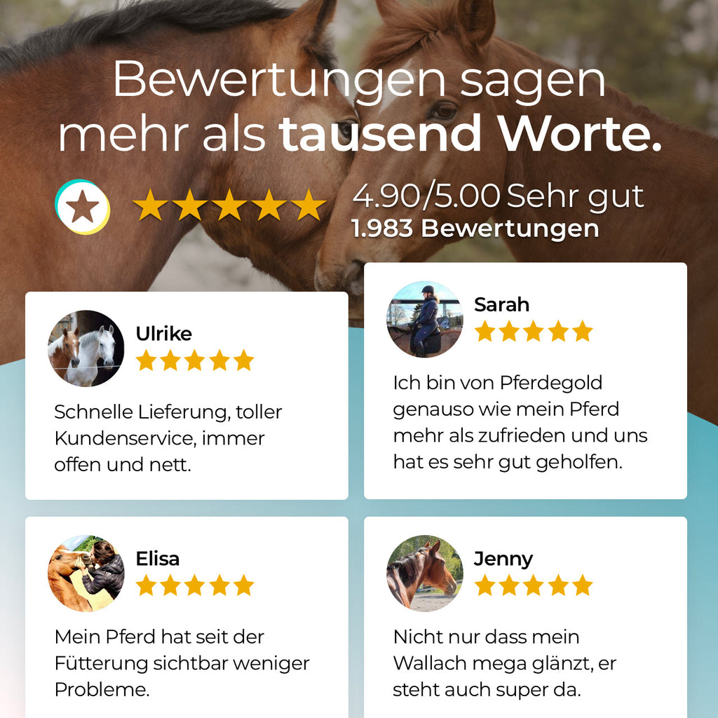 Pferdegold® MSM – Organischer Schwefel für Gelenke & Bindegewebe beim Pferd 1,5 kg