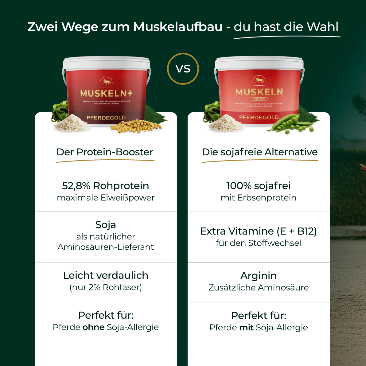 Pferdegold® Muskeln+ 2.0 – Muskelaufbau-Ergänzung für Pferde mit pflanzlichen Proteinen