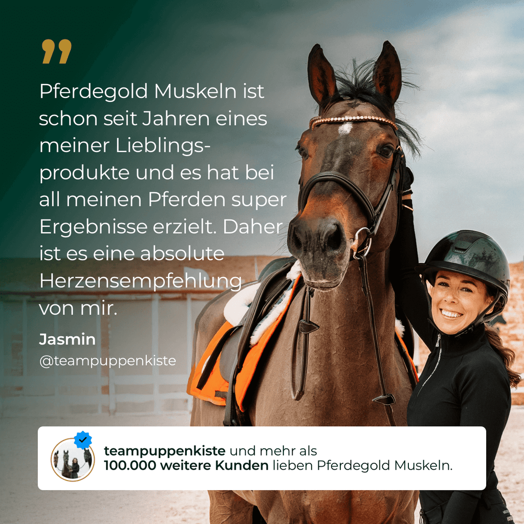 Pferdegold® Muskeln+ 2.0 – Muskelaufbau-Ergänzung für Pferde mit pflanzlichen Proteinen