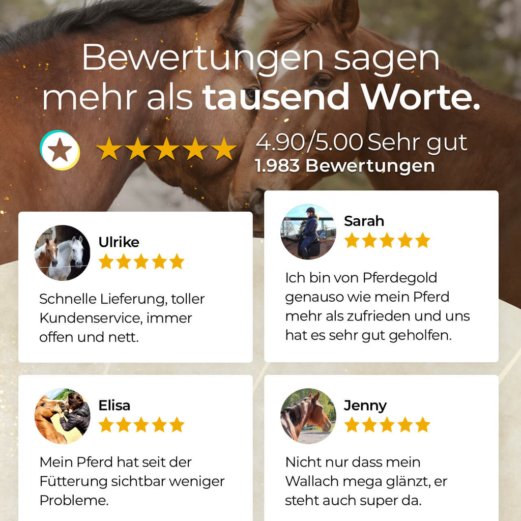 Pferdegold® Goldmüsli® Kräuter Glück – Kräutermüsli für Pferde