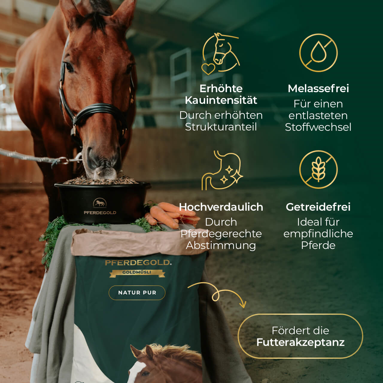 Pferdegold® Goldmüsli® Natur Pur – Getreidefreies Müsli für Pferde jeden Alters