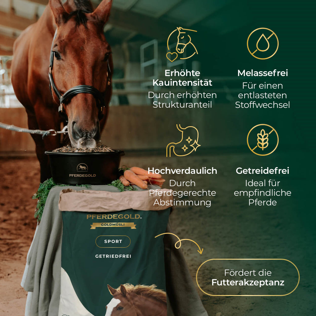 Pferdegold® Goldmüsli® Sport Getreidefrei – Pferdefutter für sportliche Pferde